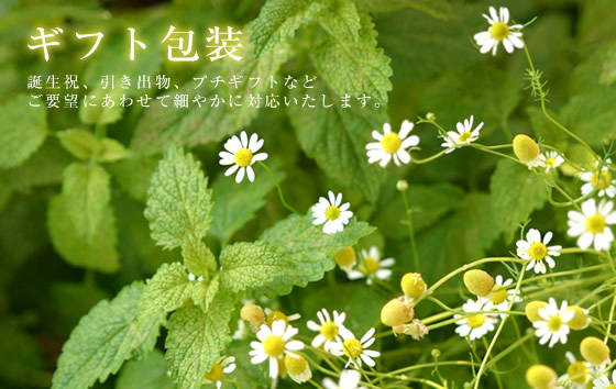 ギフト包装