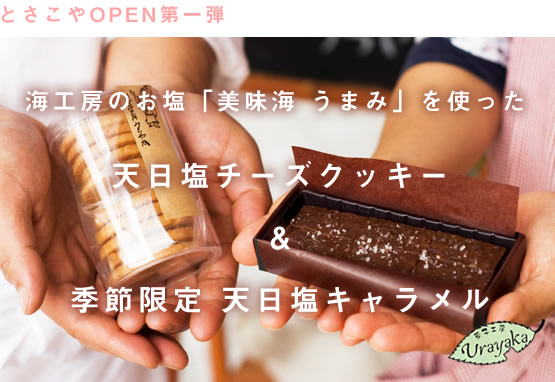 海工房の天日塩「美味海」を使った特性塩チーズクッキーと期間限定 塩キャラメル